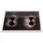 Magnetic Pole Pattern