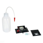 Whitley Bay Smoke Cell LED